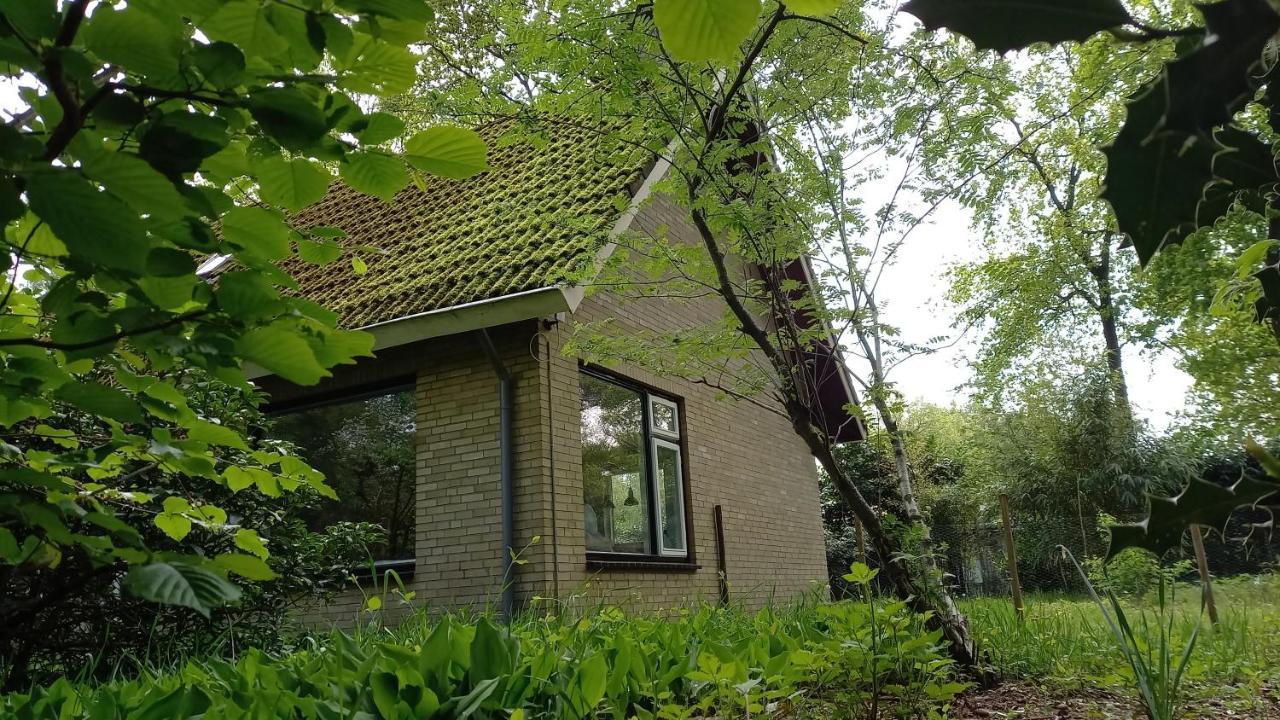 Vechtdalhuisje 17 Ommen Ngoại thất bức ảnh